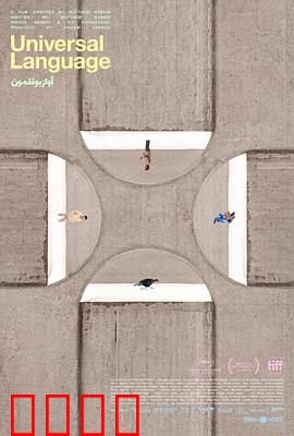 共同的语言：破冰之旅