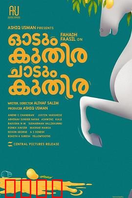 一匹马奔跑，一匹马跳跃：草原双骏