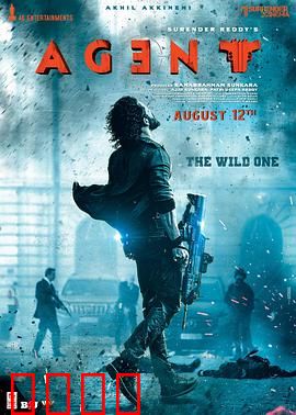 野蛮特工：铁血复仇