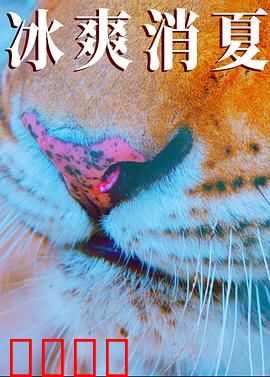 寒冰白血：绝境冰封