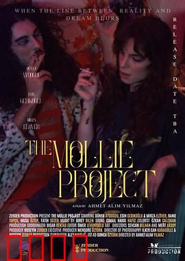 莫莉计划：惊天秘密