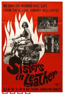 皮衣姐妹：复仇狂花