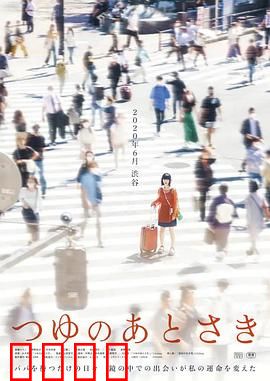 雨季过后：重逢的约定