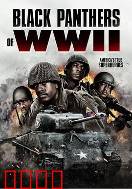 二战黑豹：坦克死神