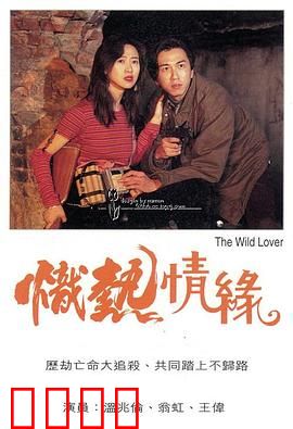 炽热情缘粤语：爱恨纠缠