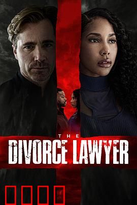 离婚律师：爱情与法律的博弈