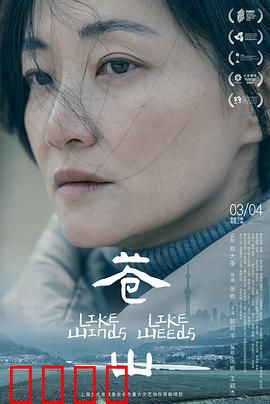 苍山：失忆香客之谜