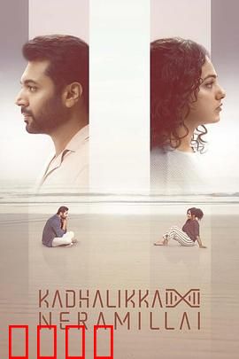 无暇顾爱：都市爱情困局