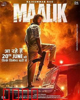 马利克：种族与正义