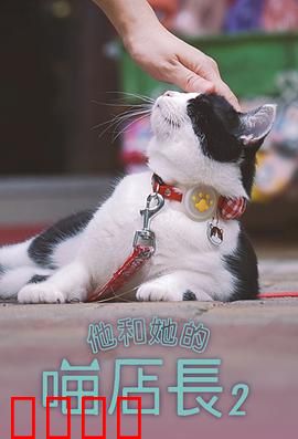 他和她的喵店长2：猫咪牵线情