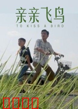 亲亲飞鸟：心随鸟飞