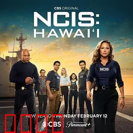 海军罪案调查处：奇案揭秘