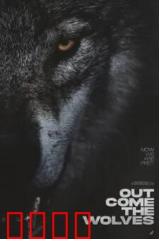 狼群出动：草原霸主