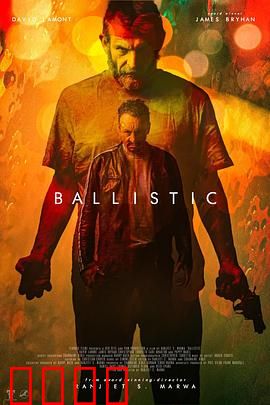 弹道：正义的子弹