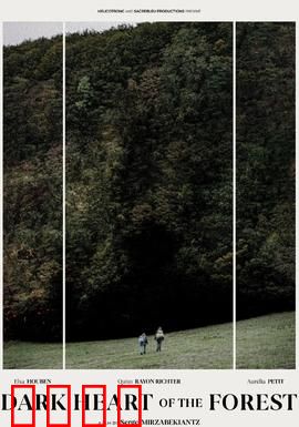 森林的黑暗心脏：惊悚迷途