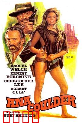 复仇的女枪手：荒野复仇