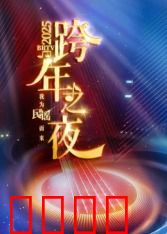 2025北京卫视跨年：群星璀璨迎新年