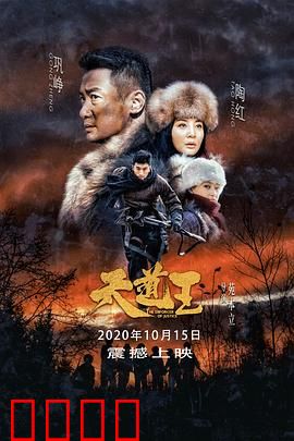 天道王：猎户抗敌传奇