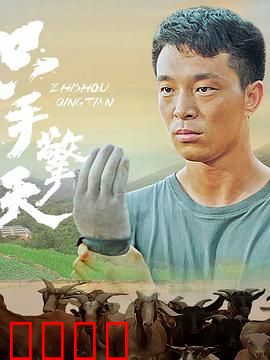 只手擎天：独臂英雄复仇记