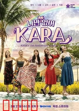 只有没有我，KARA：独自闪耀的星