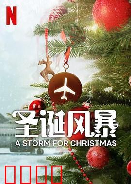 圣诞风暴：雪夜温情