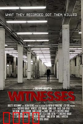 目击者2019：夜路惊魂