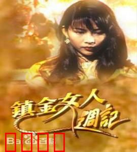 镇金女人周记粤语：职场逆袭记