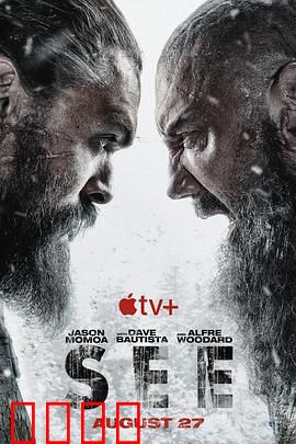 看见第二季：盲警觉醒