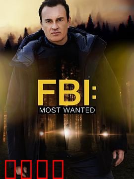 联邦调查局：卧底风云
