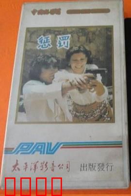 惩罚1980：残酷的救赎