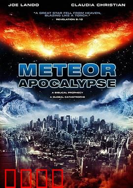 流星的启示：命运抉择