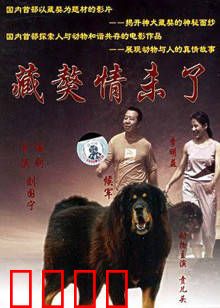藏獒情未了：人犬情深泪目