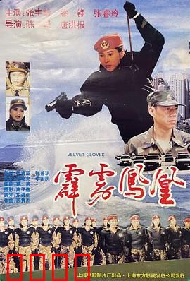 霹雳凤凰：女警铁拳