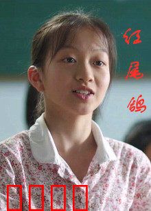 红尾鸽：苍穹之翼