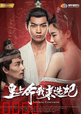 皇上命我来选妃：选妃奇遇记