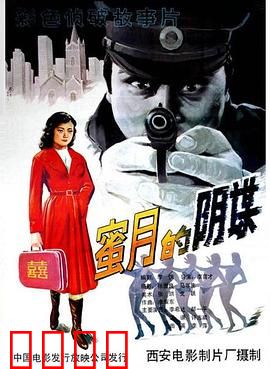 蜜月的阴谋：新婚噩梦