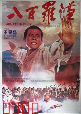 八百罗汉：少林绝技抗元军