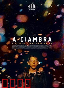 罗姆男孩：街头成长记