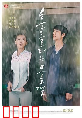 绽放2015：青春无悔