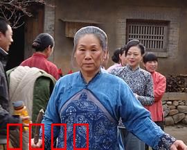 野茱萸：山野间的母爱