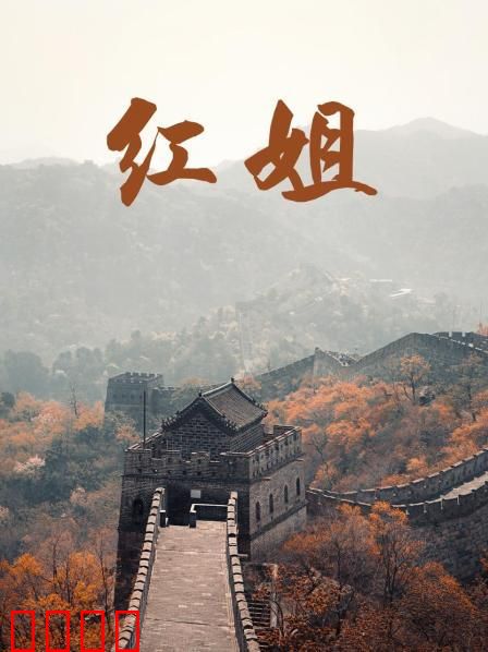 红姐2017：浴火重生