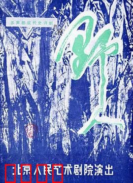 野人：丛林守护神