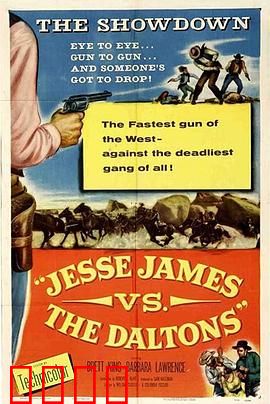 虎穴枭雄：毒枭覆灭记