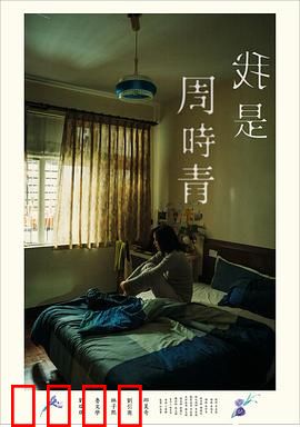 我是周时青：记忆的拼图