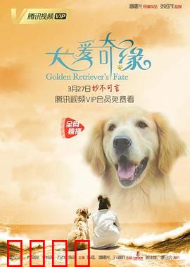 犬爱奇缘：人狗情深