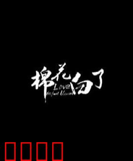 棉花白了：真相大白