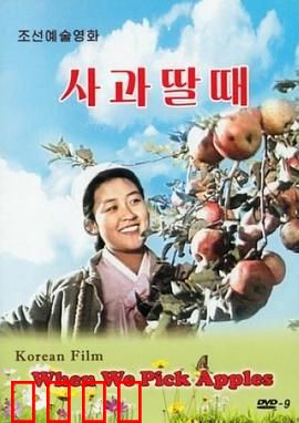 摘苹果的时候：丰收背后的秘密