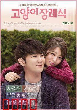 猫的葬礼：青春暗恋的苦涩