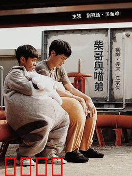 柴哥与喵弟：萌宠逆袭记