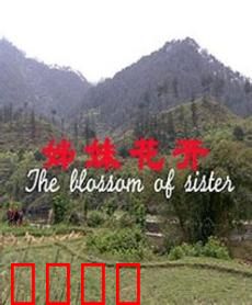姊妹花开：姐妹情深逆袭记